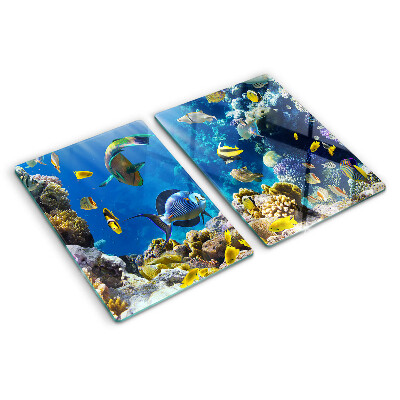 Tagliere in vetro con motivo del mondo sottomarino della barriera corallina