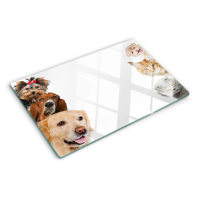 Tagliere in vetro con decoro raffigurante cani e gatti in varie pose