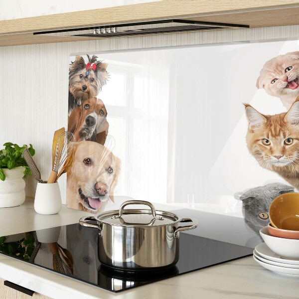 Tagliere in vetro con decoro raffigurante cani e gatti in varie pose