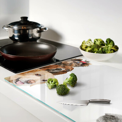 Tagliere in vetro con decoro raffigurante cani e gatti in varie pose