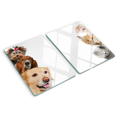 Tagliere in vetro Cani e gatti in varie pose