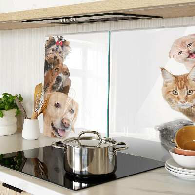 Tagliere in vetro con decoro raffigurante cani e gatti in varie pose