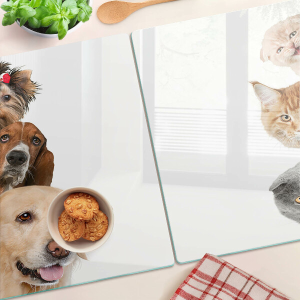 Tagliere in vetro con decoro raffigurante cani e gatti in varie pose