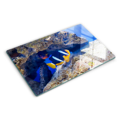 Tagliere in vetro temperato con motivo di pesciolini nella barriera corallina