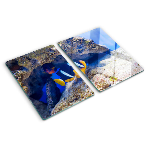 Tagliere in vetro temperato con motivo di pesciolini nella barriera corallina