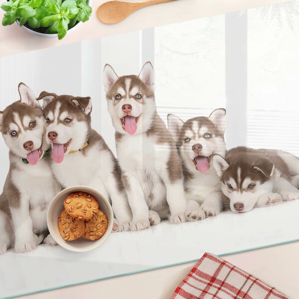 Tagliere in vetro Cuccioli di husky