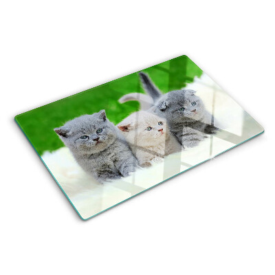 Tagliere in vetro temperato con motivo di gattini su sfondo verde