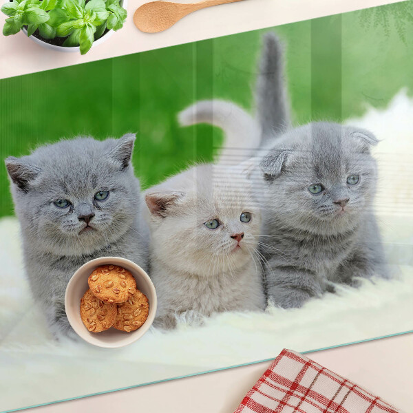 Tagliere in vetro temperato con motivo di gattini su sfondo verde