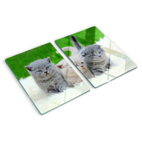Tagliere in vetro temperato con motivo di gattini su sfondo verde