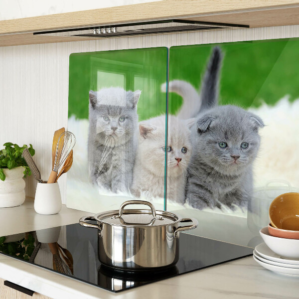 Tagliere in vetro temperato con motivo di gattini su sfondo verde