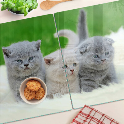Tagliere in vetro temperato con motivo di gattini su sfondo verde