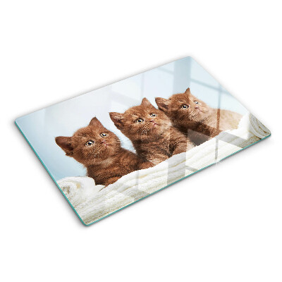 Tagliere in vetro temperato Tre gatti marroni