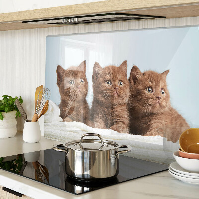 Tagliere in vetro temperato Tre gatti marroni