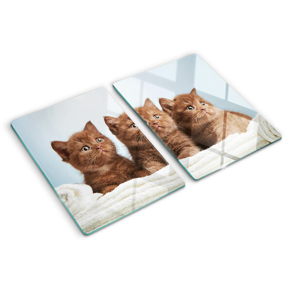 Tagliere in vetro temperato Tre gatti marroni