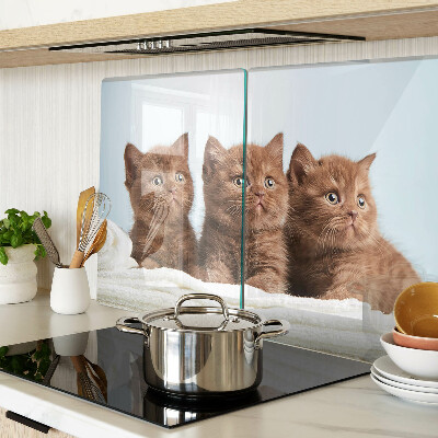 Tagliere in vetro temperato con motivo di tre gatti marroni