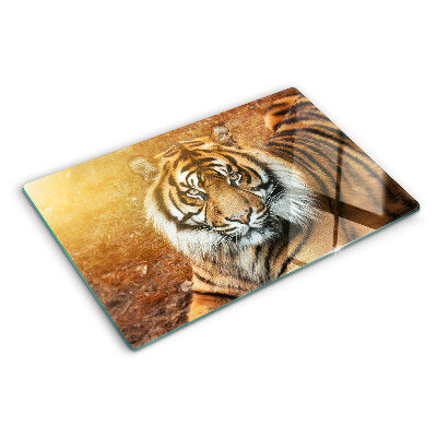 Tagliere in vetro con decorazione a motivo tigre illuminata dai raggi del sole