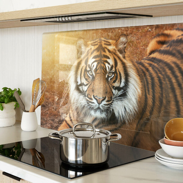 Tagliere in vetro con decorazione a motivo tigre illuminata dai raggi del sole