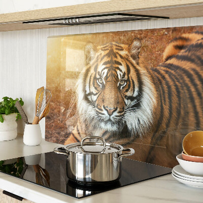 Tagliere in vetro con decorazione a motivo tigre illuminata dai raggi del sole