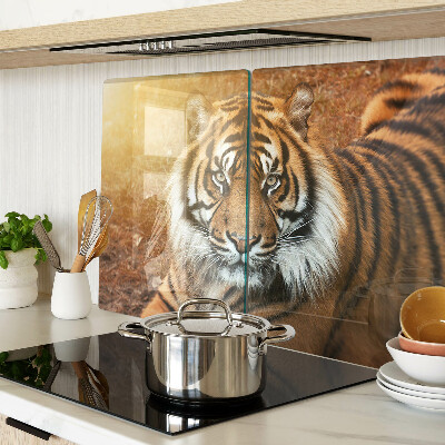 Tagliere in vetro con decorazione a motivo tigre illuminata dai raggi del sole