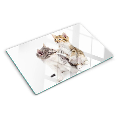 Tagliere in vetro temperato con disegno di gatti su sfondo bianco