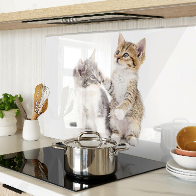 Tagliere in vetro temperato con disegno di gatti su sfondo bianco