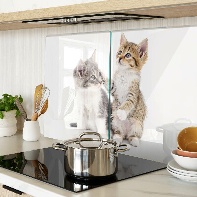 Tagliere in vetro temperato con disegno di gatti su sfondo bianco