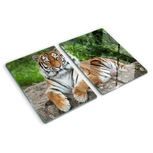 Tagliere in vetro temperato con decorazione raffigurante una tigre nel suo ambiente naturale