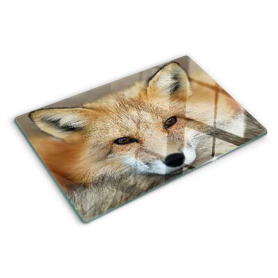 Tagliere in vetro con stampa della giovane volpe rossa