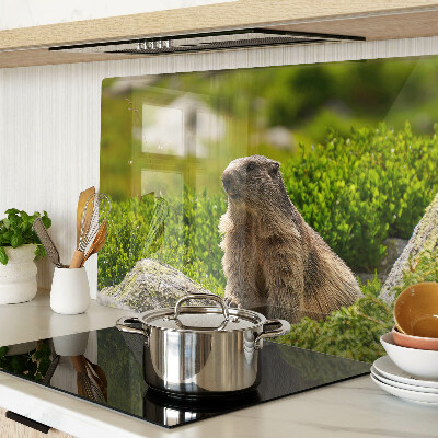 Tagliere in vetro con stampa di una marmotta su sfondo di erba verde