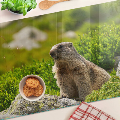 Tagliere in vetro con stampa di una marmotta su sfondo di erba verde