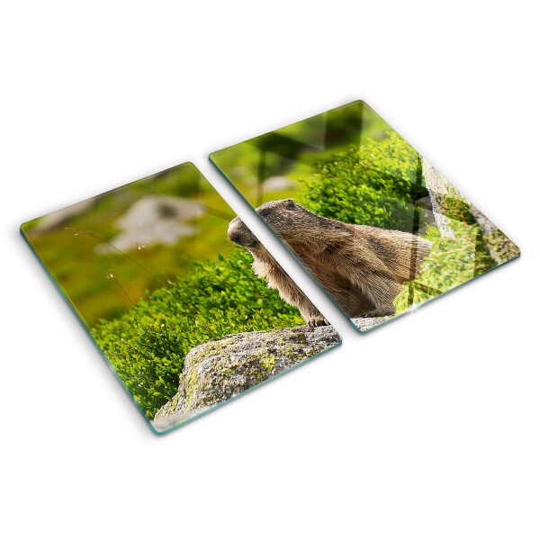 Tagliere in vetro con stampa di una marmotta su sfondo di erba verde