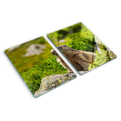 Tagliere in vetro con stampa di una marmotta su sfondo di erba verde