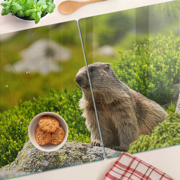 Tagliere in vetro con stampa di una marmotta su sfondo di erba verde