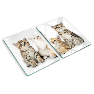 Tagliere in vetro temperato con stampa di un branco di gattini