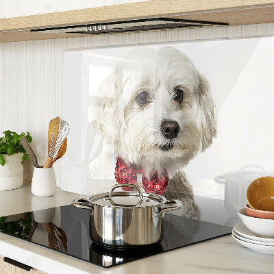 Tagliere in vetro temperato con stampa di cane che indossa un maglioncino e un fiocco