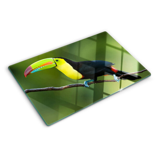 Tagliere in vetro con stampa di un tucano su un ramo