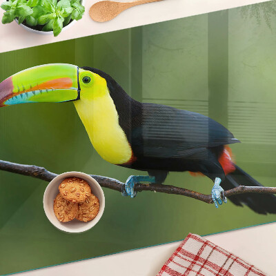 Tagliere in vetro con stampa di un tucano su un ramo