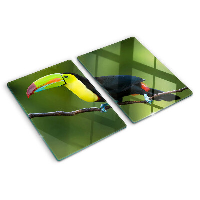 Tagliere in vetro con stampa di un tucano su un ramo