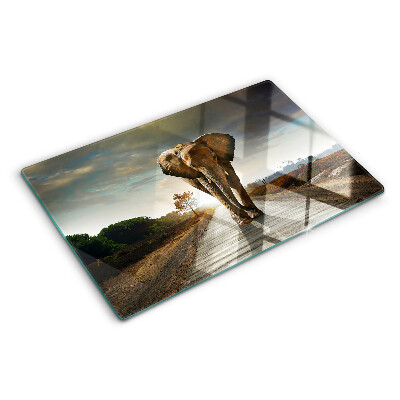 Tagliere in vetro temperato con stampa raffigurante un elefante sulla strada al tramonto