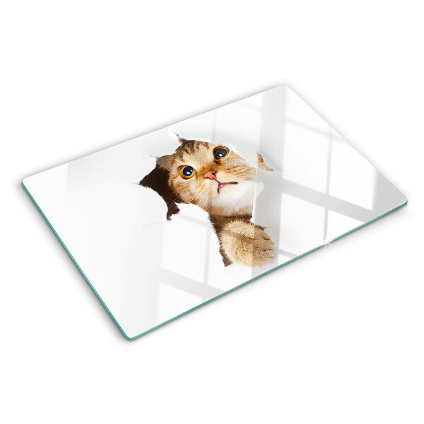 Tagliere in vetro temperato Gatto che guarda attraverso un buco nel muro