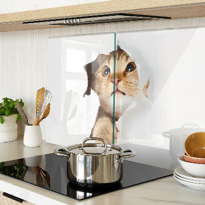 Tagliere in vetro temperato con stampa di un gatto che guarda attraverso un buco nel muro