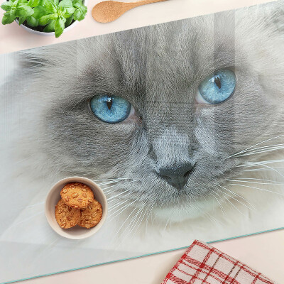 Tagliere in vetro temperato con stampa di un gatto dagli occhi azzurri