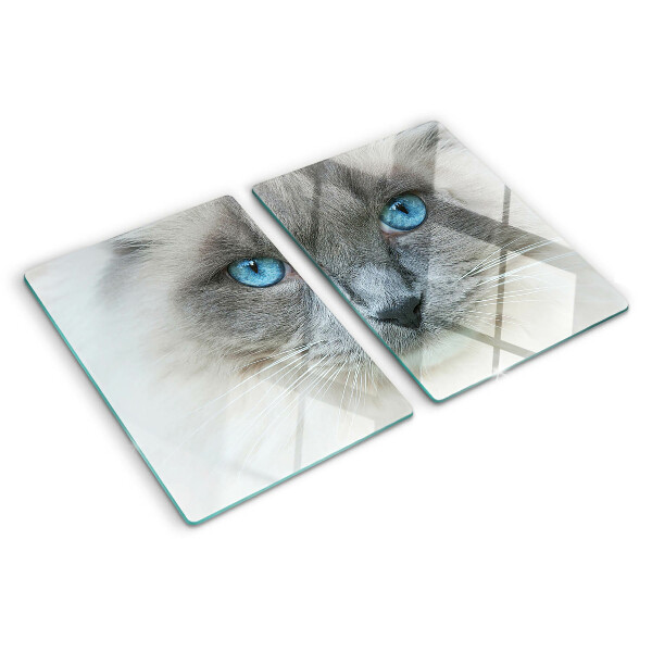 Tagliere in vetro temperato Gatto con gli occhi azzurri