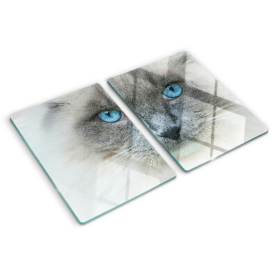 Tagliere in vetro temperato Gatto con gli occhi azzurri