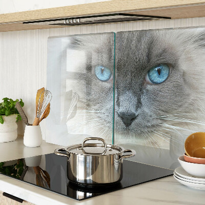 Tagliere in vetro temperato Gatto con gli occhi azzurri