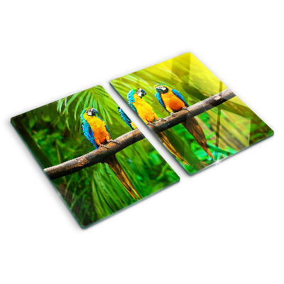 Tagliere in vetro temperato con stampa di pappagalli su un ramo in stile tropicale