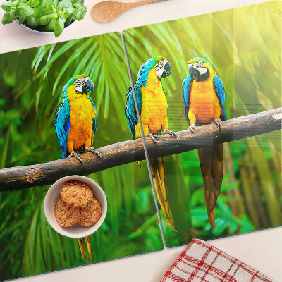 Tagliere in vetro temperato con stampa di pappagalli su un ramo in stile tropicale