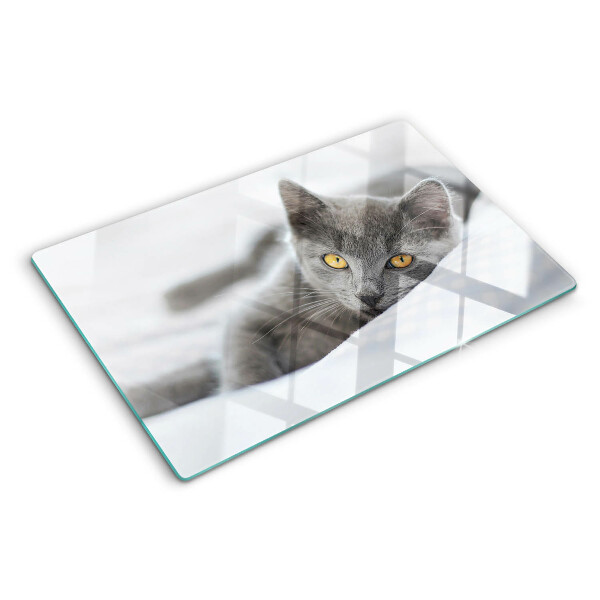 Tagliere in vetro Gatto con gli occhi gialli