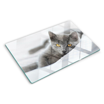 Tagliere in vetro Gatto con gli occhi gialli