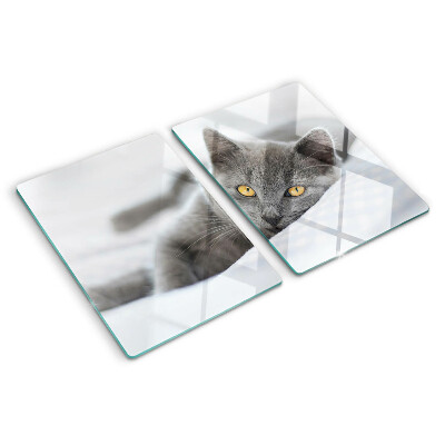 Tagliere in vetro con stampa di un gatto dagli occhi gialli